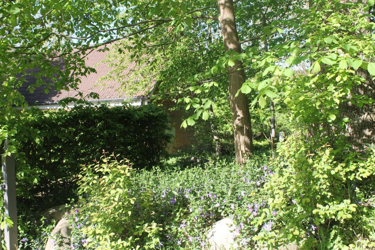 Apartamento Altes Waschhaus Krakvitz Putbus Exterior foto